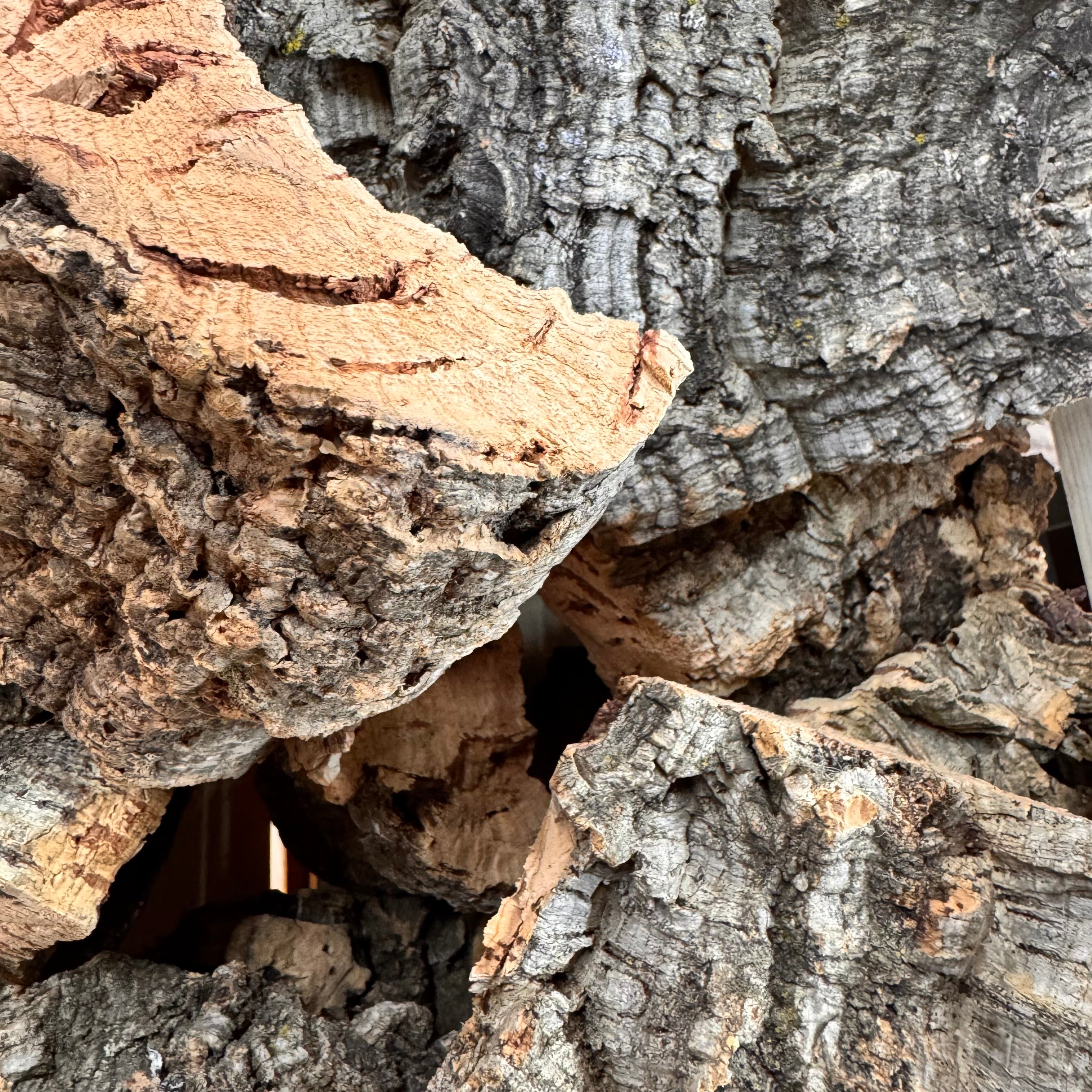 Cork Chunk