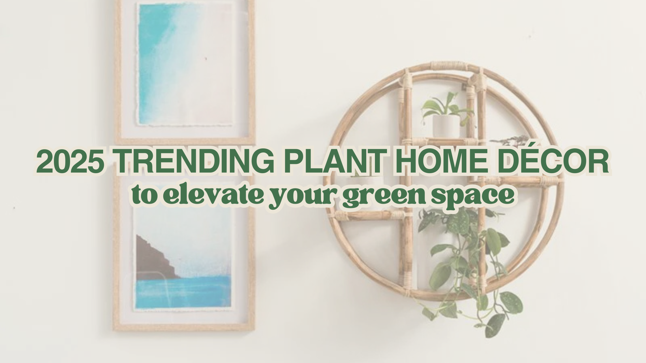 2025 Trending Plant Home Décor and Accessories: Elevate Your Green Space