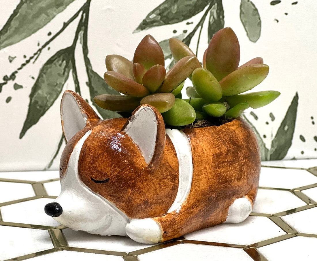 Succulent Animal Pots