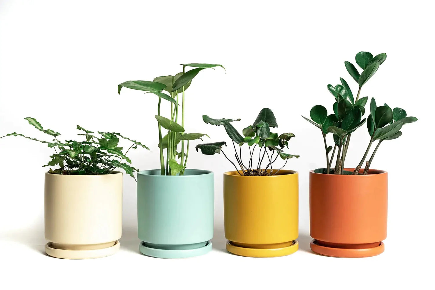Colorful Pots For Plants