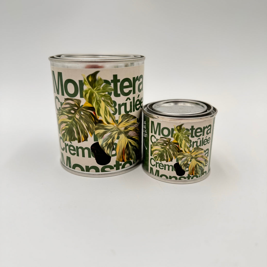 Monstera Crème Brûlée Candle