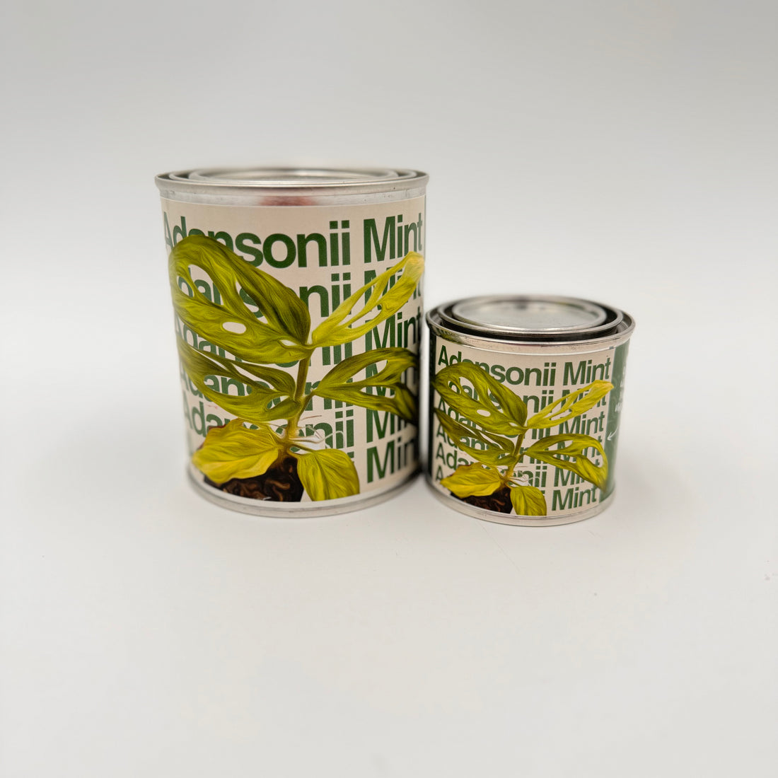 Adansonii Mint Candle