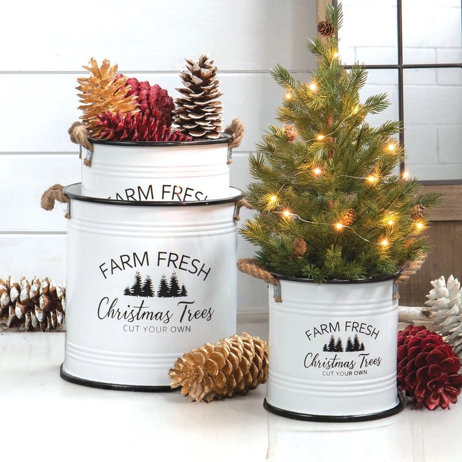 Christmas Tree Bucket Planters