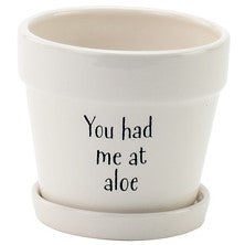 Witty Decal Pot with Saucer