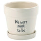Witty Decal Pot with Saucer