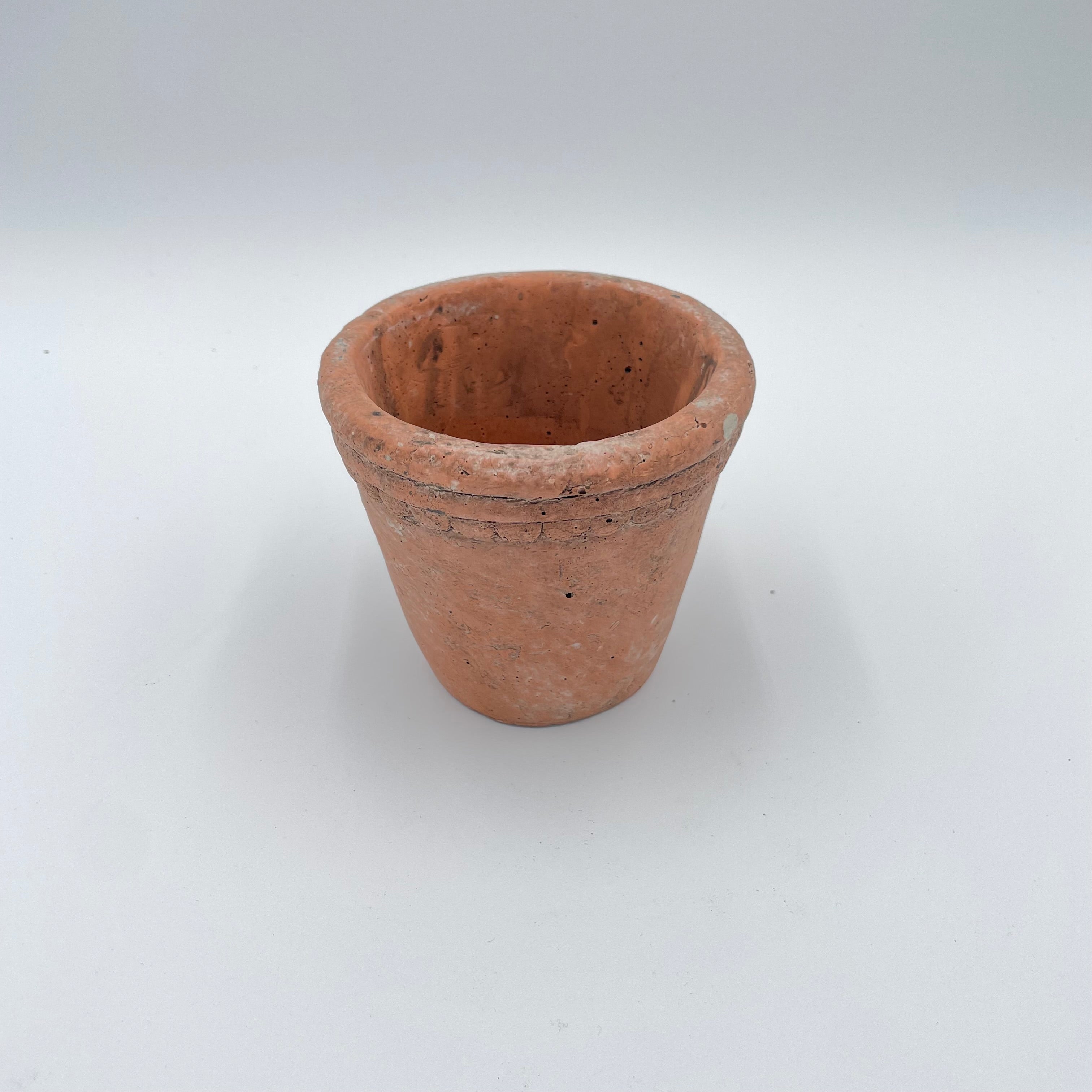 Scalloped Terracotta Cement Planter