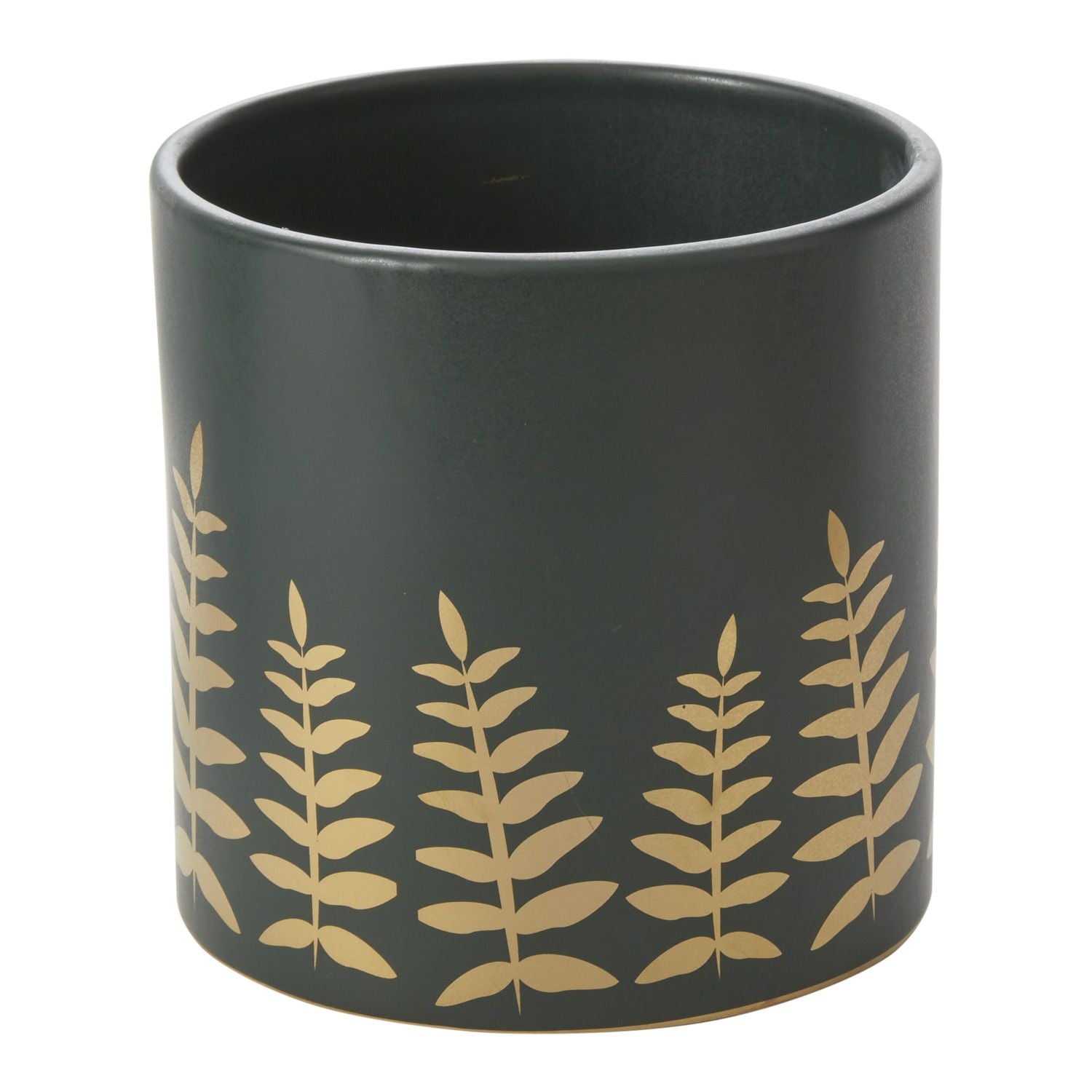 Midwinter Fern Pot