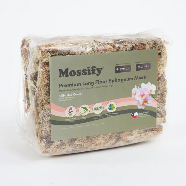 Mossify Sphagnum Moss