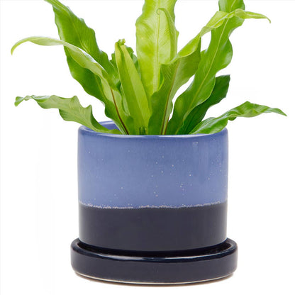 Minute Ceramic Plant Pots Indoor