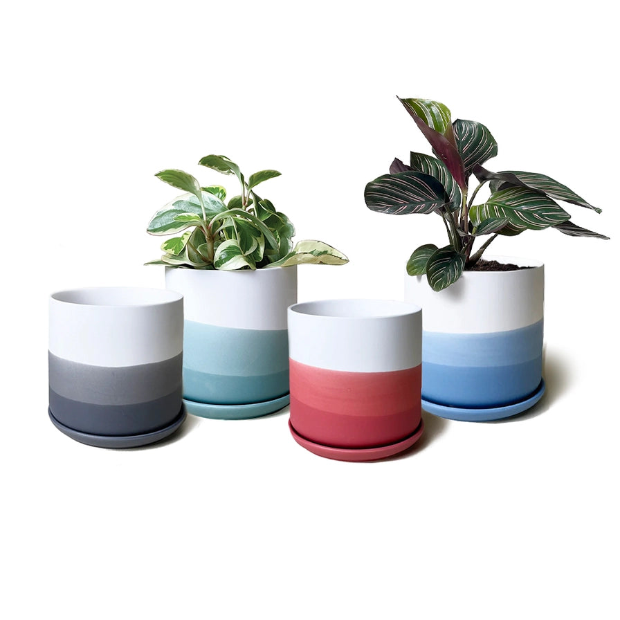 Devo Planter with Saucer