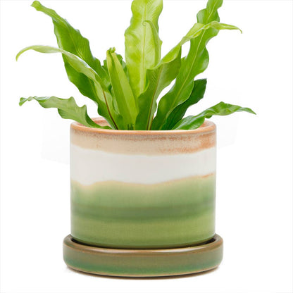 Minute Ceramic Plant Pots Indoor