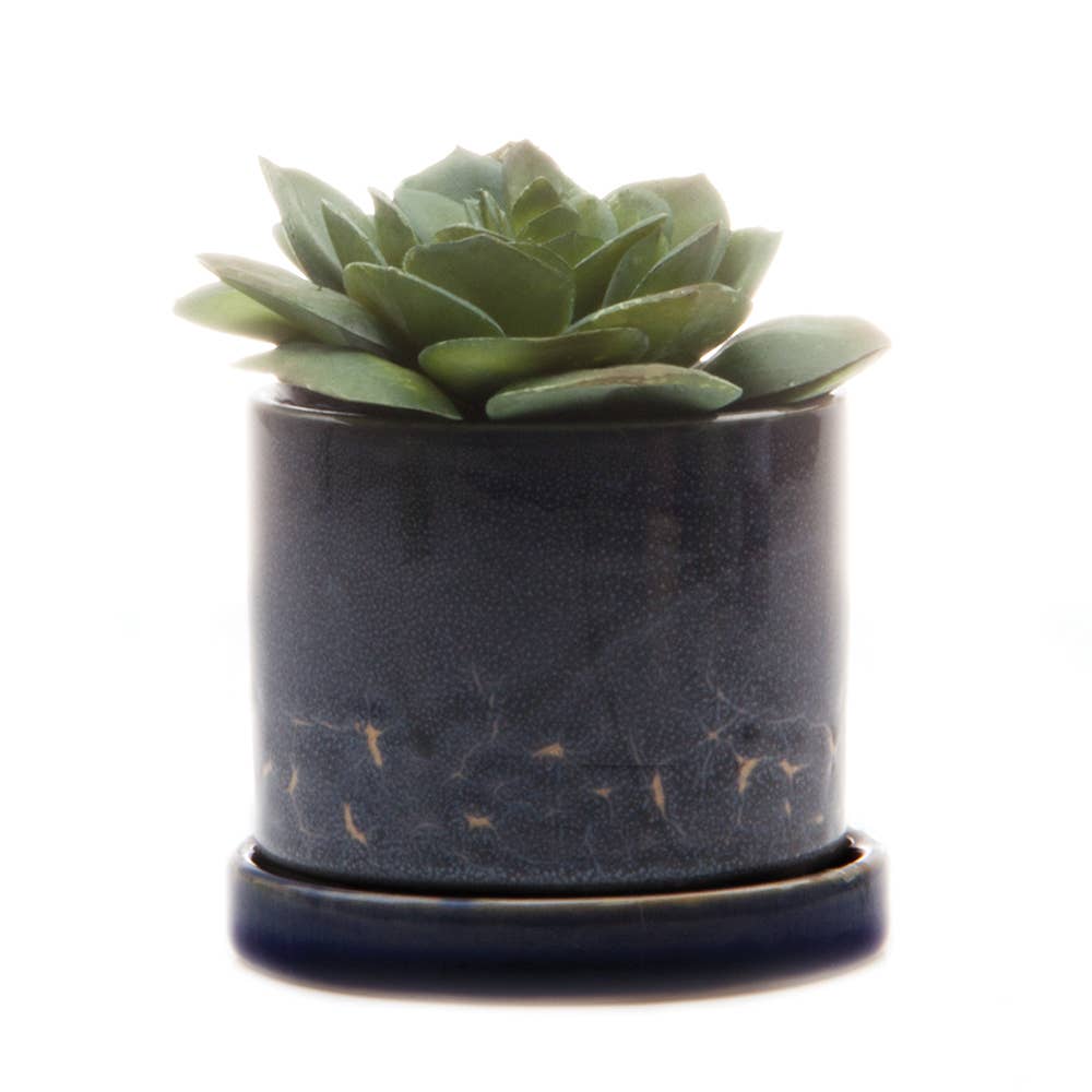 Minute Ceramic Plant Pots Indoor