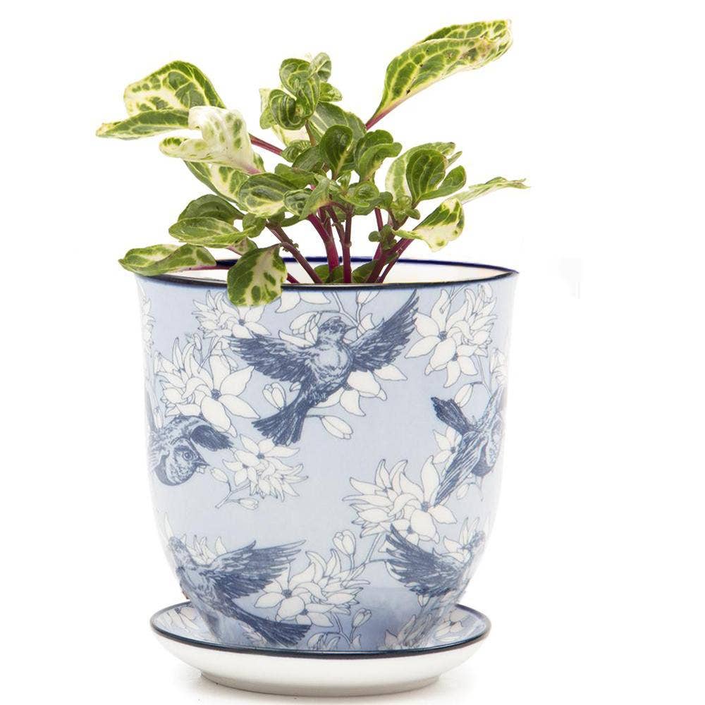 Liberte 4 Porcelain Pot with Saucer