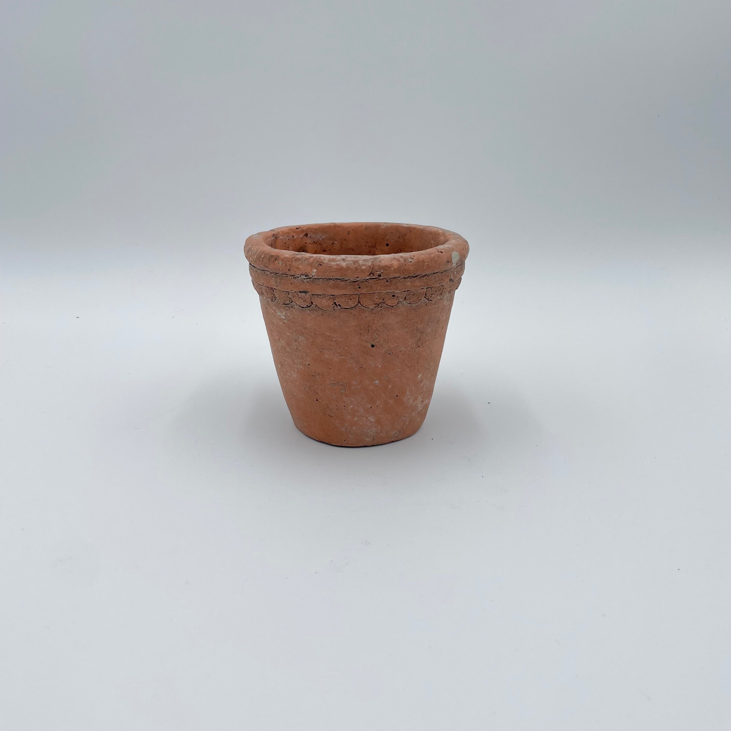 Scalloped Terracotta Cement Planter