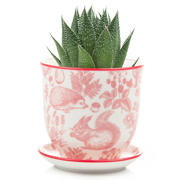 Liberte 4 Porcelain Pot with Saucer