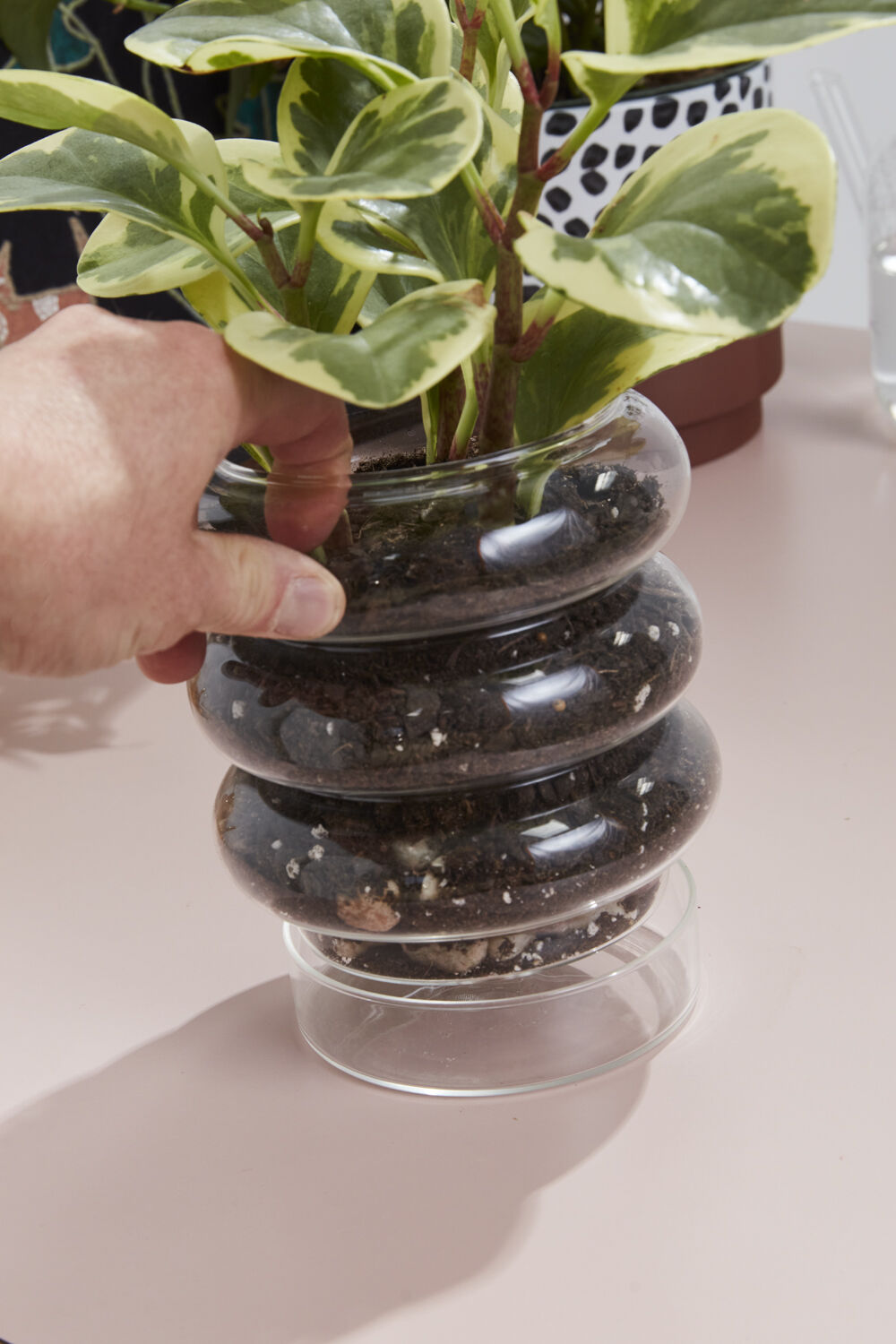 Stacked Rings Glass Pot