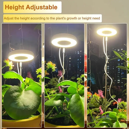 Halo Grow Light