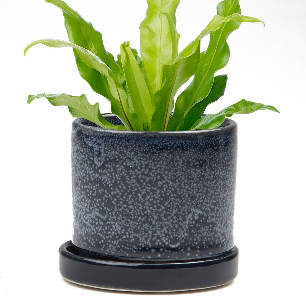 Minute Ceramic Plant Pots Indoor