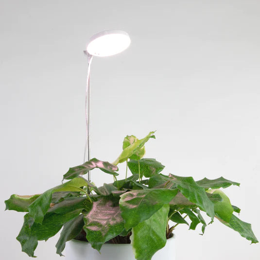 Adjustable LED Plant Light