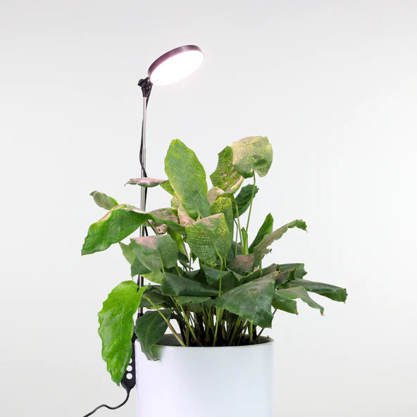 Adjustable LED Plant Light