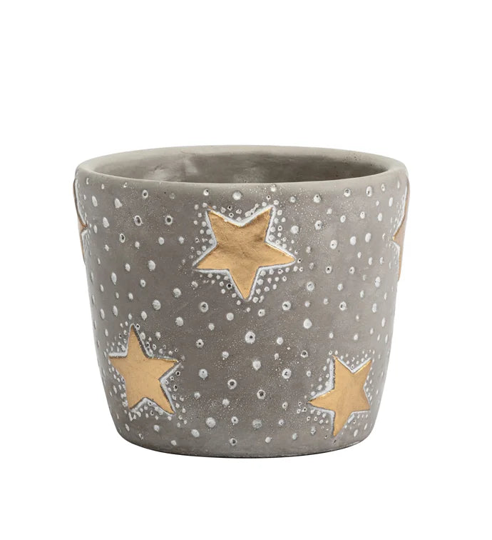 Gold Star Planter