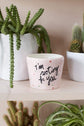 Encouraging Pot