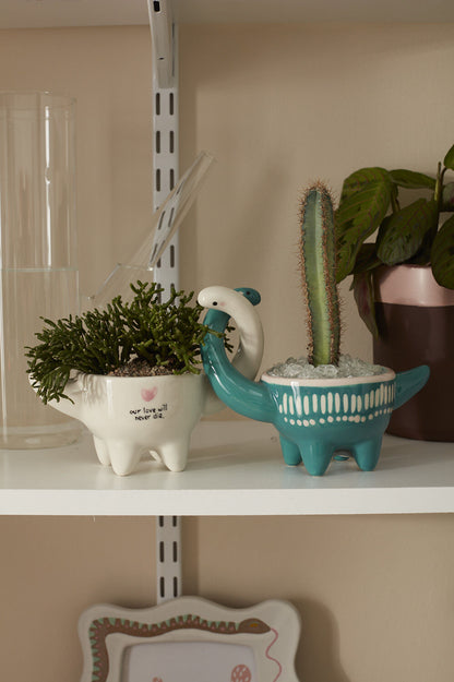 Dino Love Pots