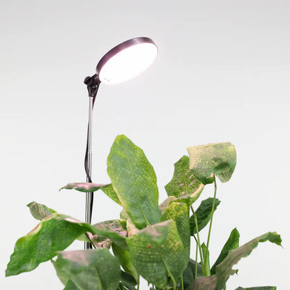 Adjustable LED Plant Light