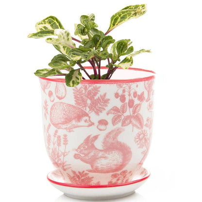 Liberte 4 Porcelain Pot with Saucer