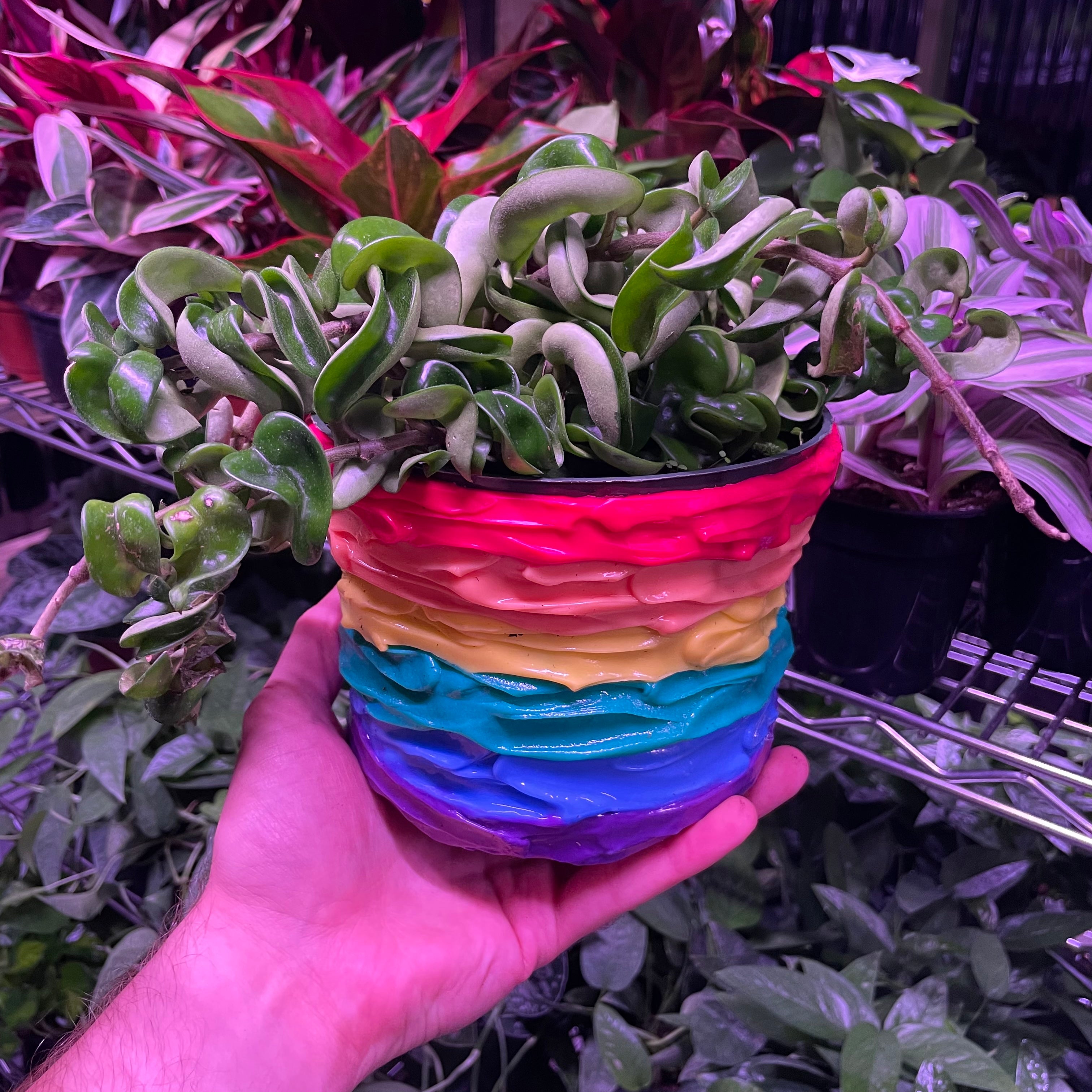 Pride shops Planter