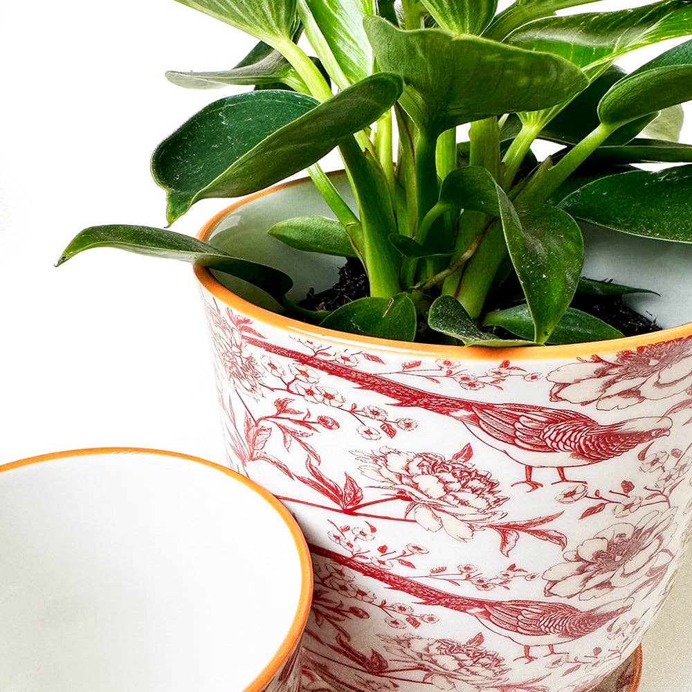 Liberte 5 Porcelain Pot with Saucer