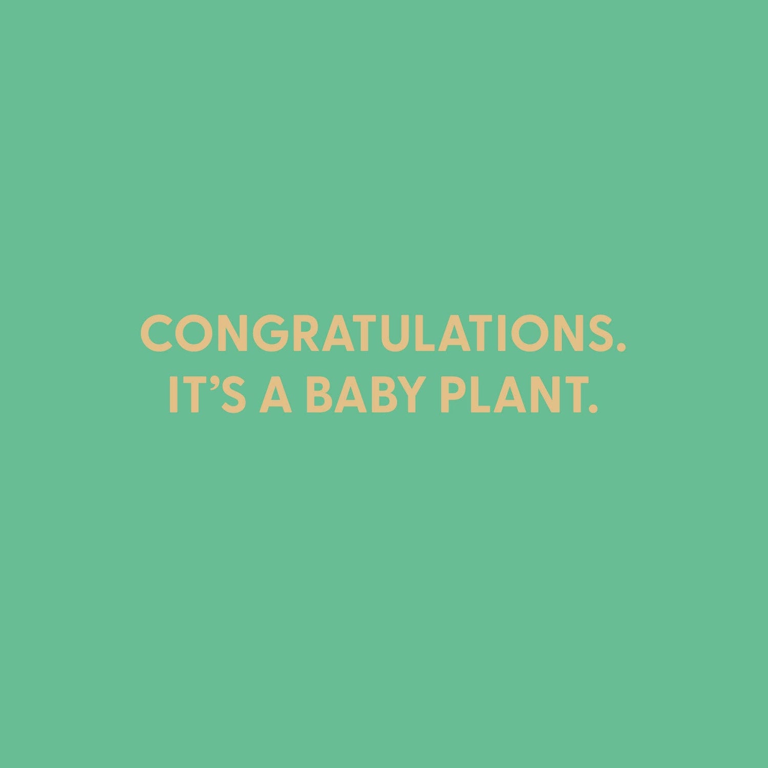 Congratulations. It’s a baby plant. Greeting Card