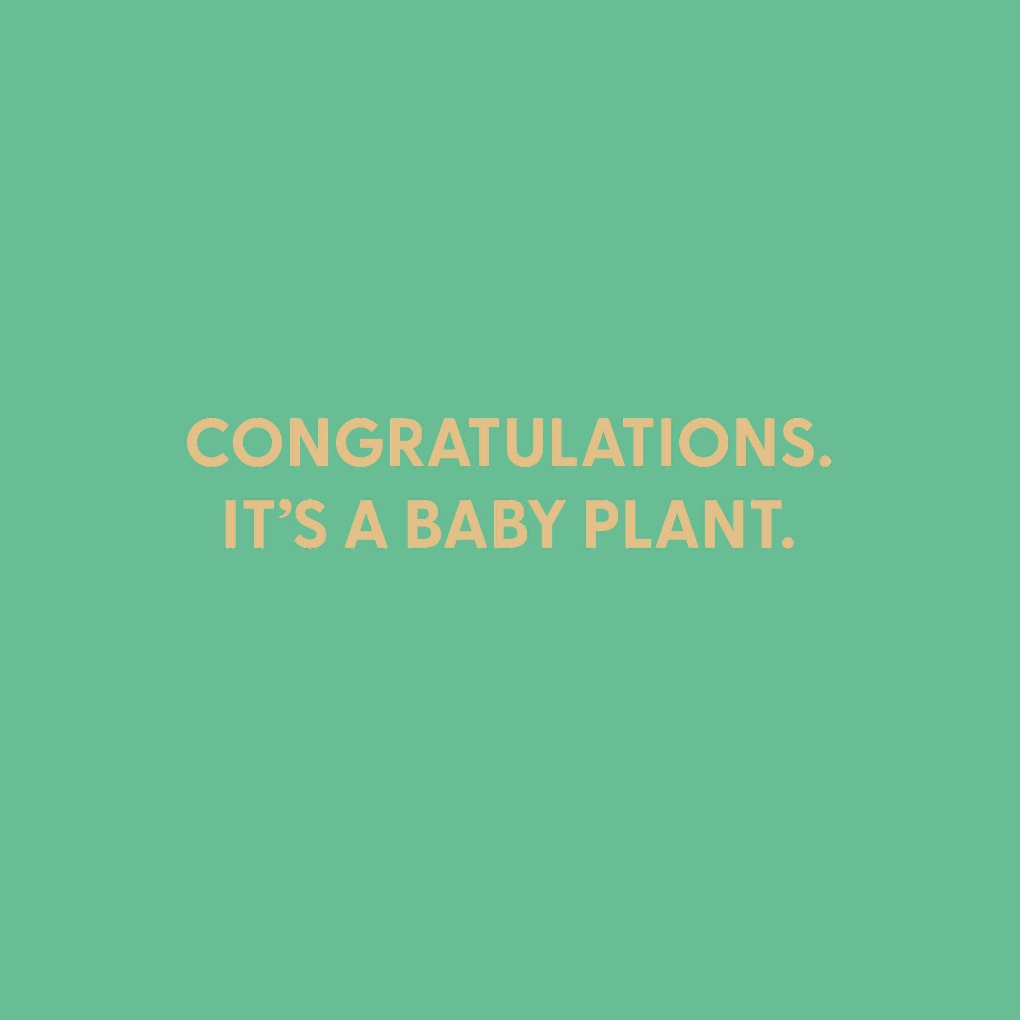 Congratulations. It’s a baby plant. Greeting Card