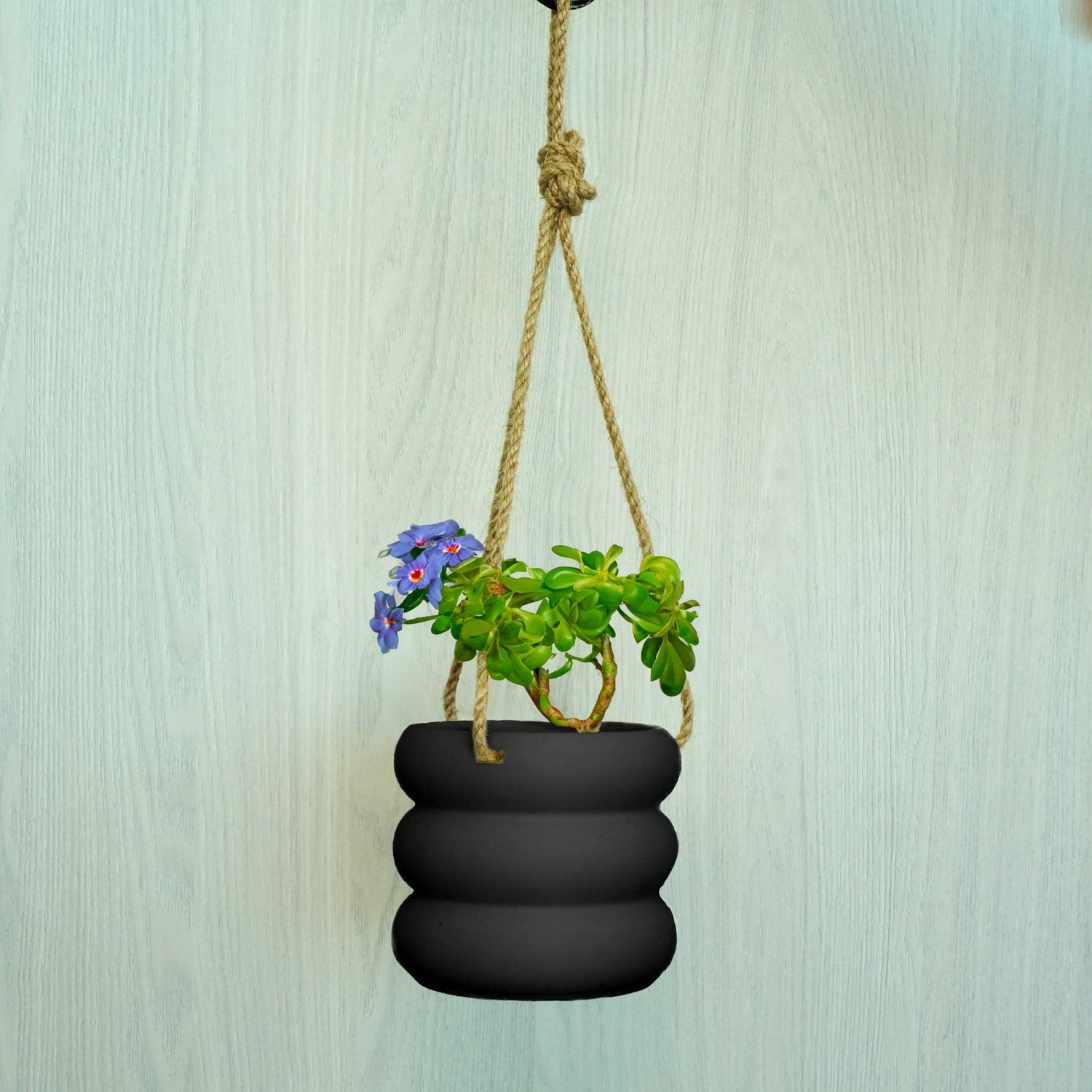 Hanging Bubble Plant Pot