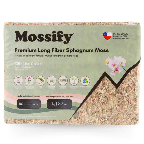 Mossify Sphagnum Moss