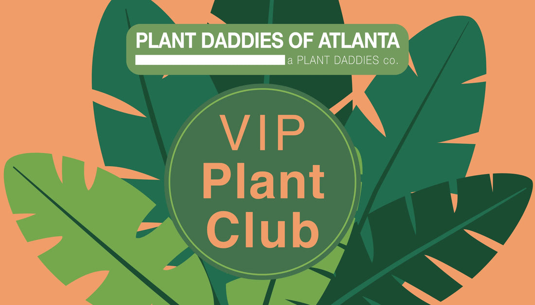 VIP Plant Club