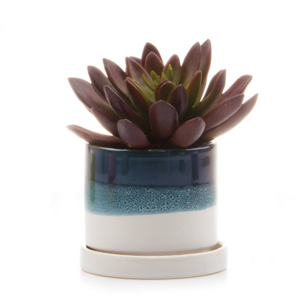 Minute Ceramic Plant Pots Indoor