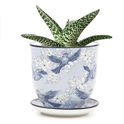 Liberte 4 Porcelain Pot with Saucer