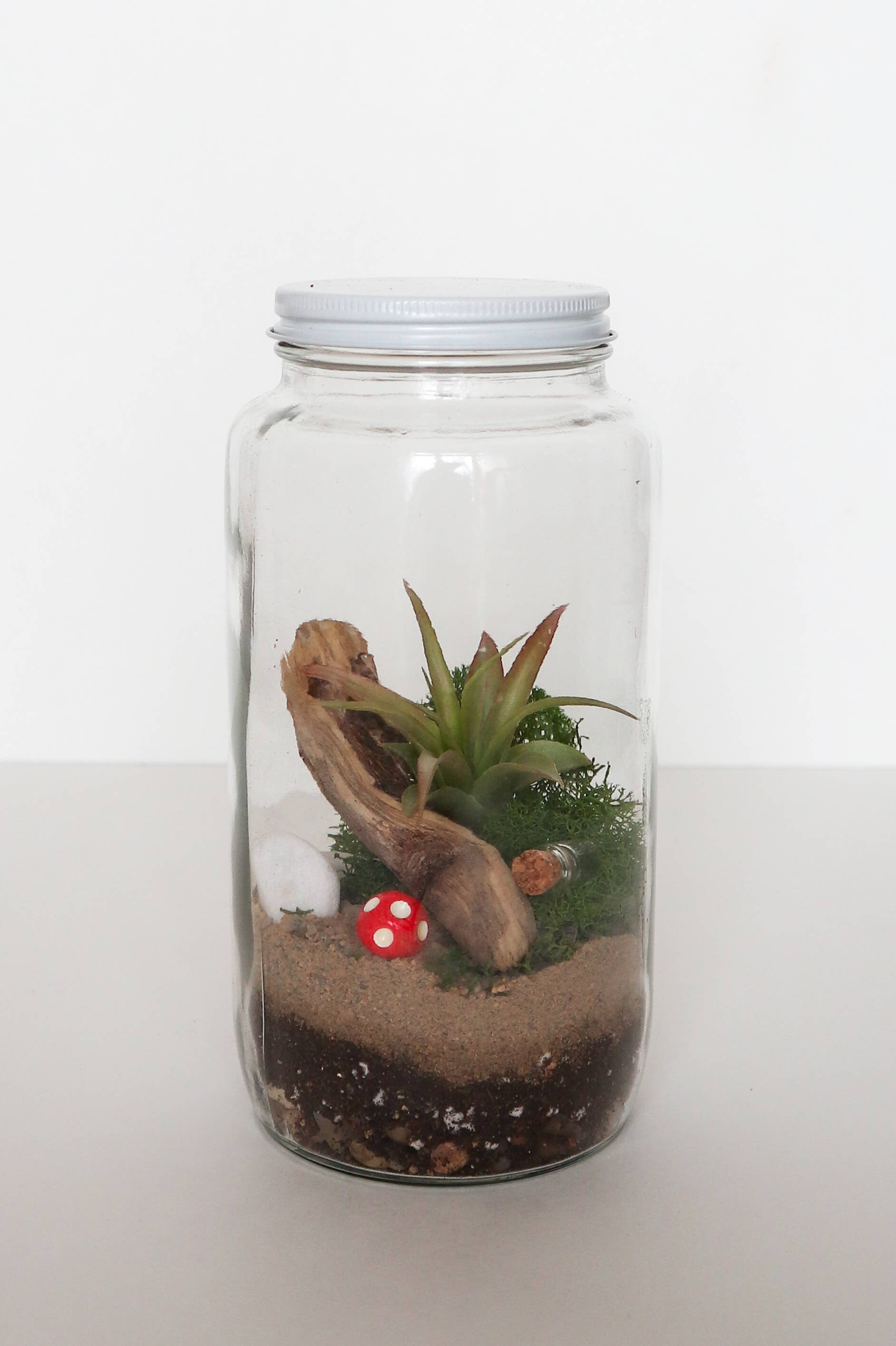 DIY Glass Plant Terrarium Kit