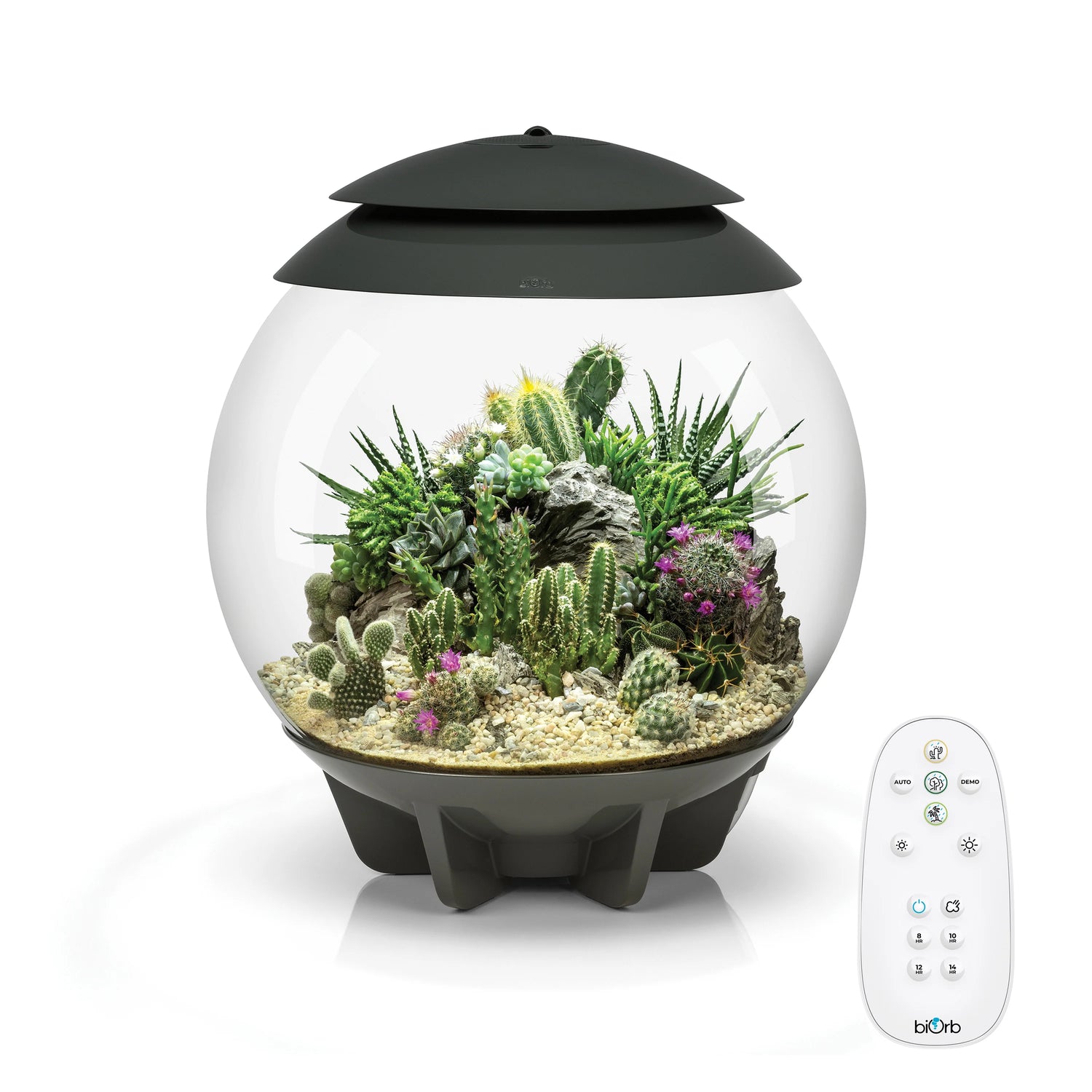 biOrb AIR 30 Terrarium