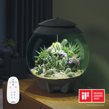 biOrb AIR 30 Terrarium