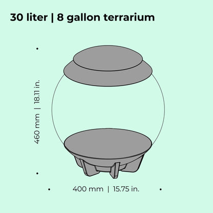 biOrb AIR 30 Terrarium