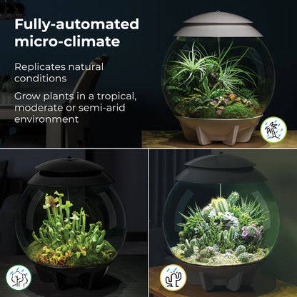 biOrb AIR 30 Terrarium