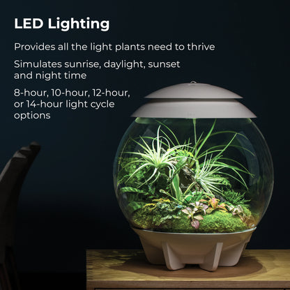 biOrb AIR 30 Terrarium