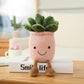 Plush Succulent Pillows