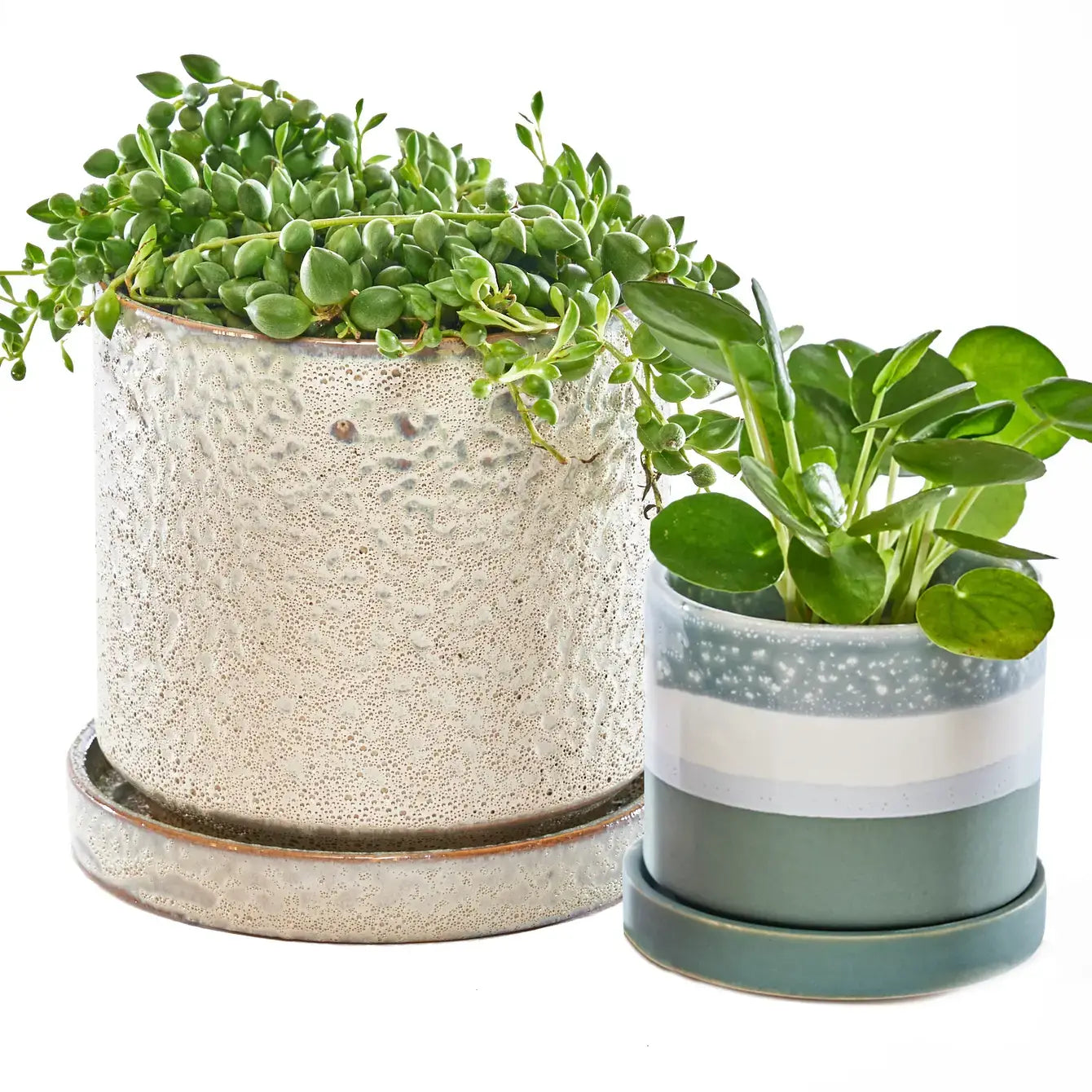 Minute Ceramic Plant Pots Indoor