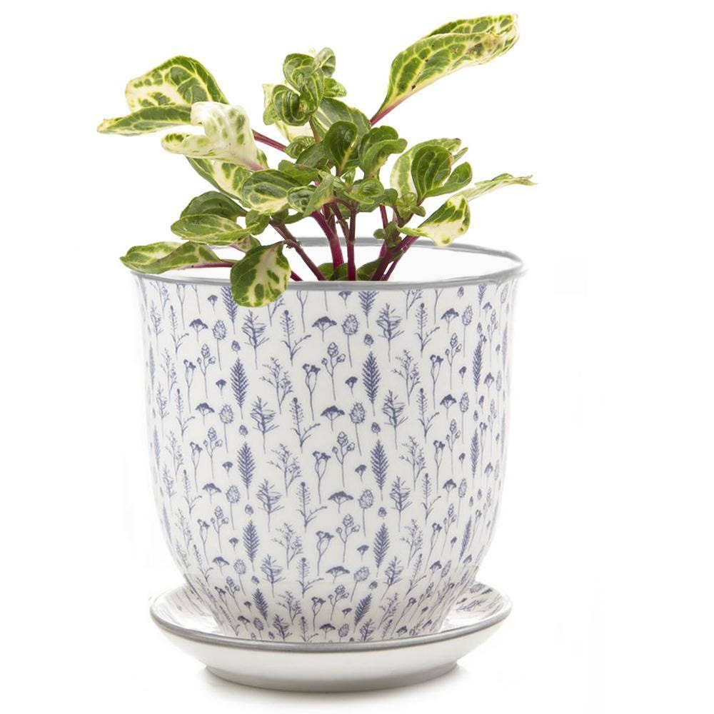 Liberte 4 Porcelain Pot with Saucer