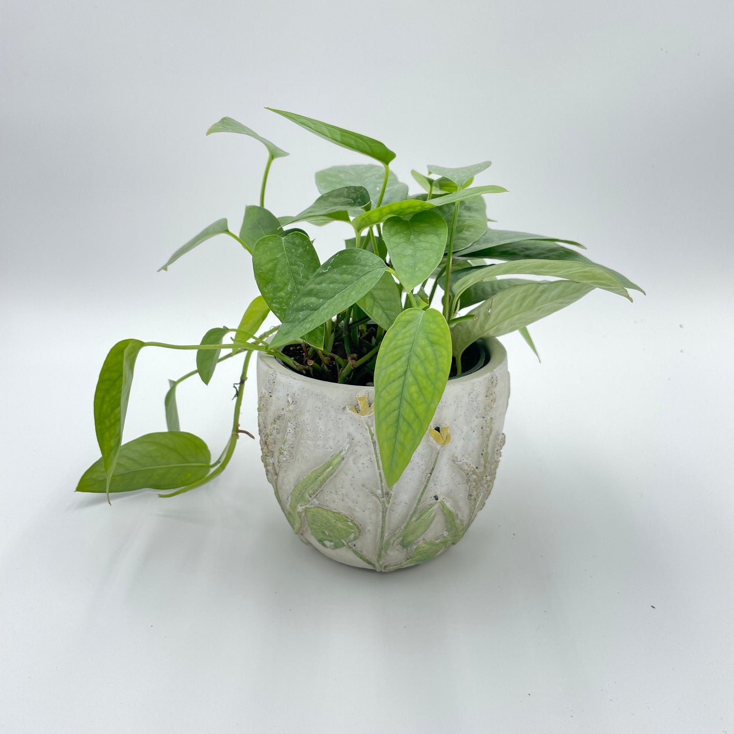 Floral Cement Planter