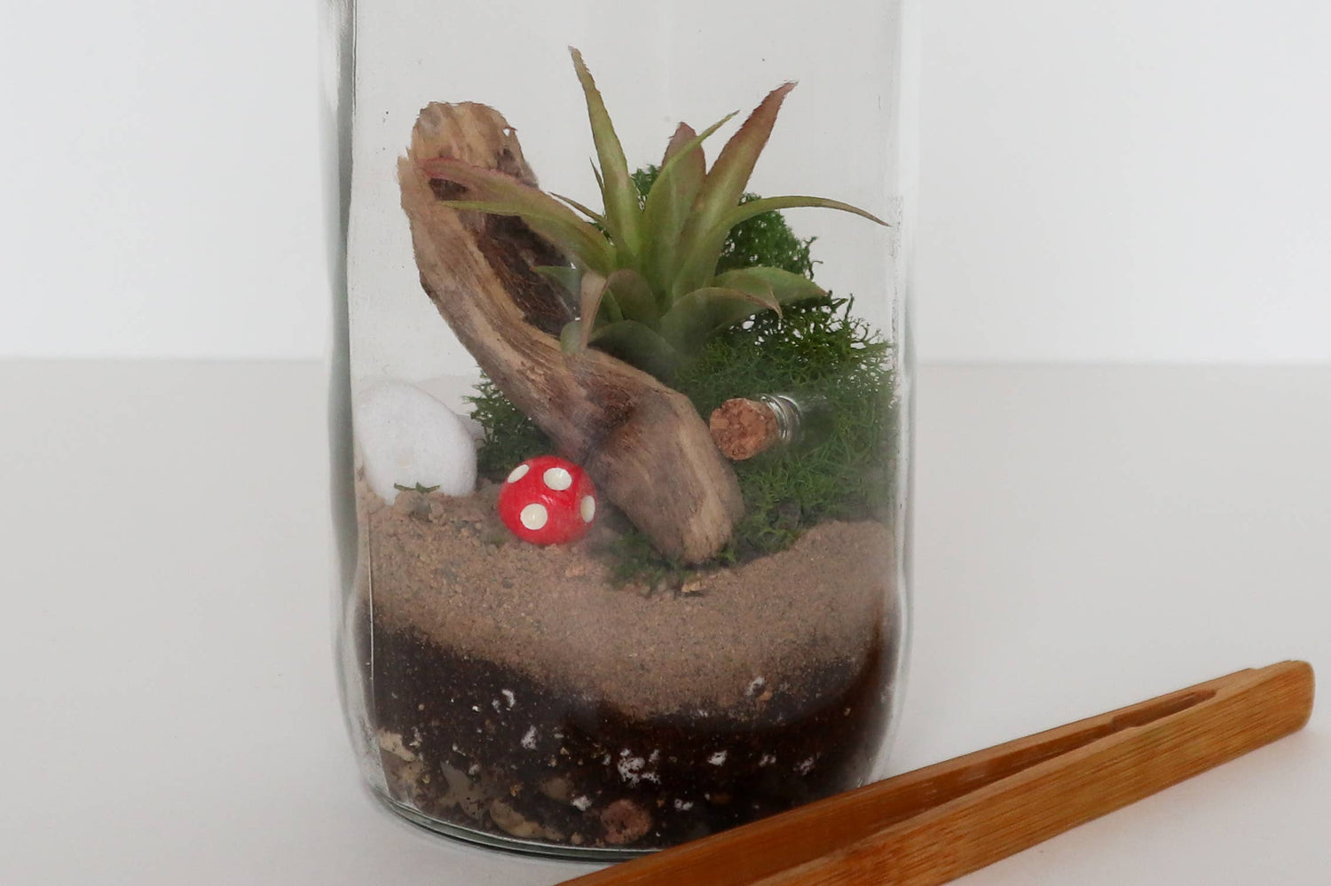 DIY Glass Plant Terrarium Kit