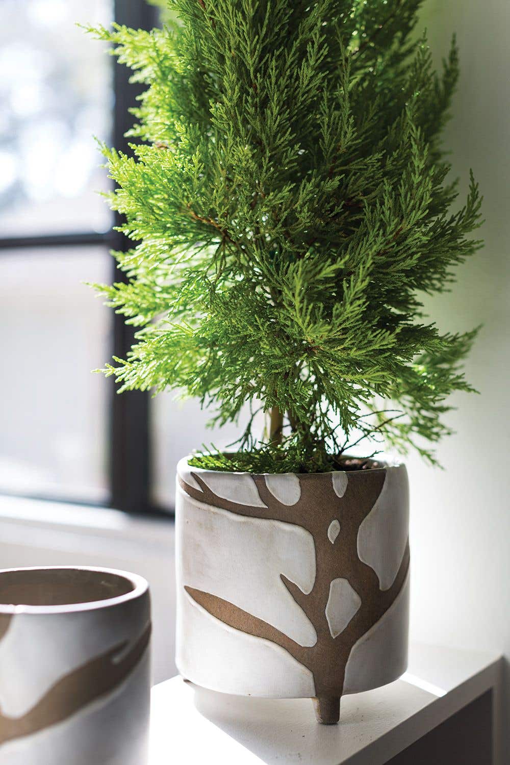 Sprig Pot